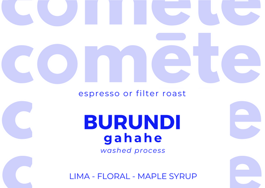 coffee beans from Burundi gahahe, washed, red bourbon, lima flora maple syrup